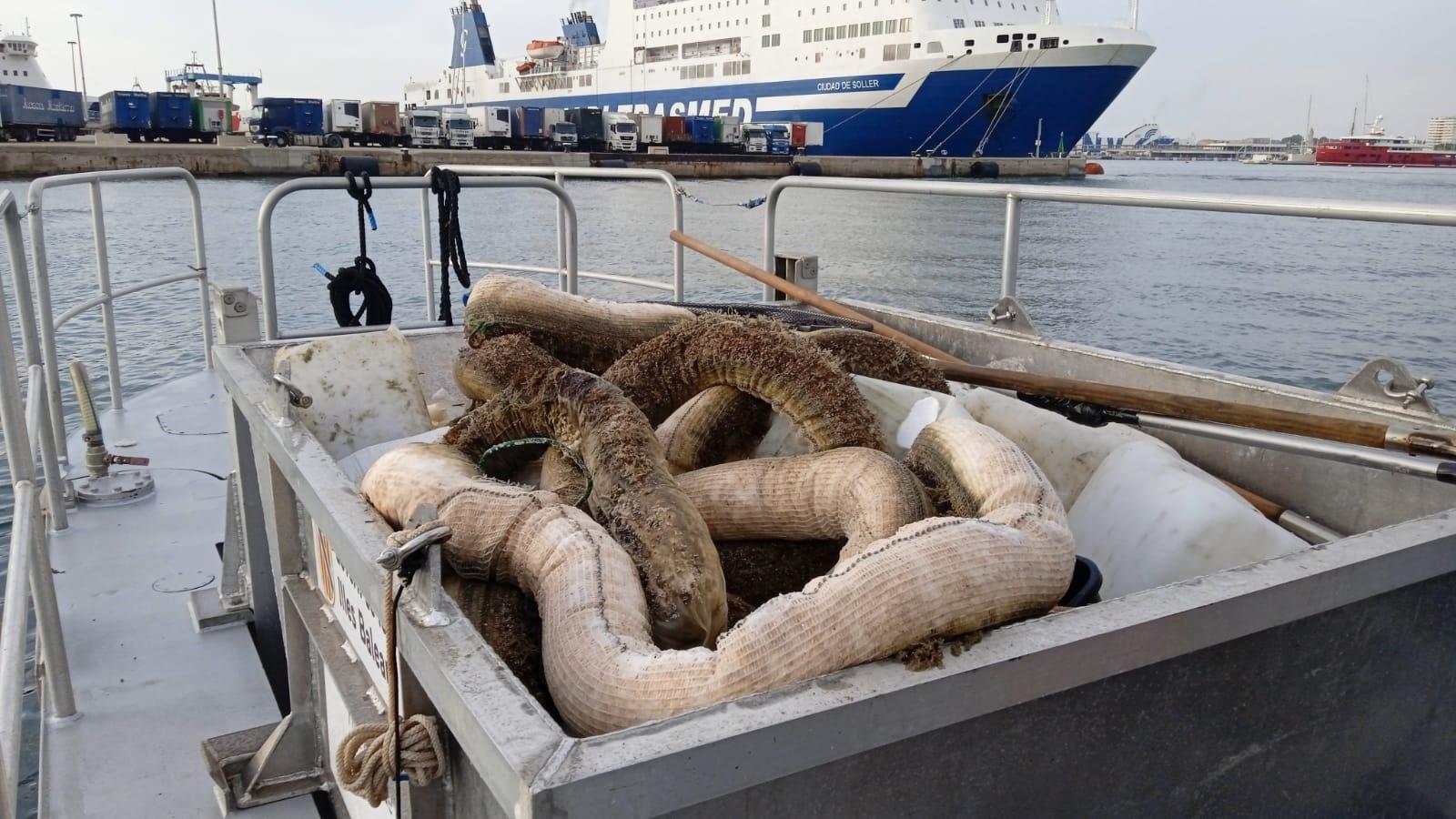 Conselleria del Mar vist 3 ton afval uit de wateren voor Mallorca