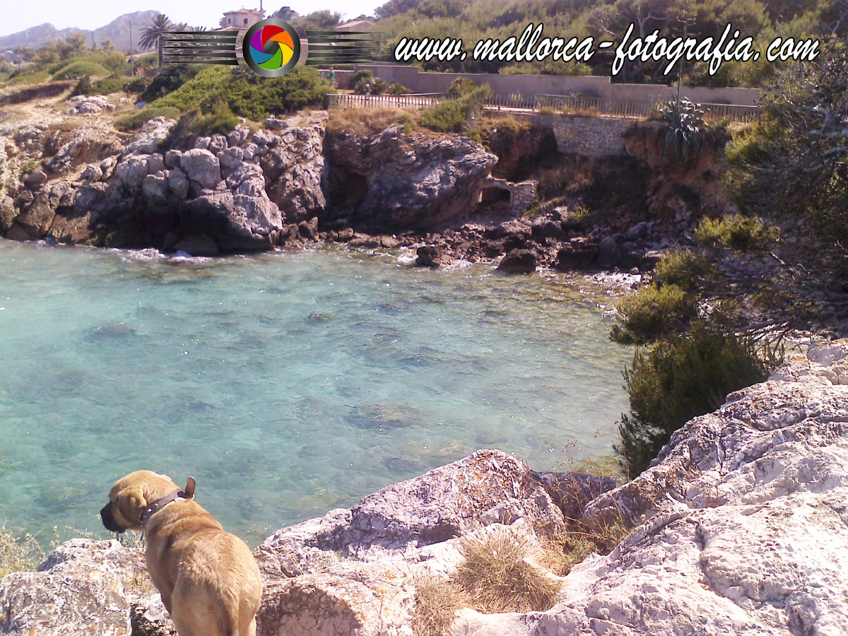Kalenderblatt | 25.03.2023 - Cala Ratjada