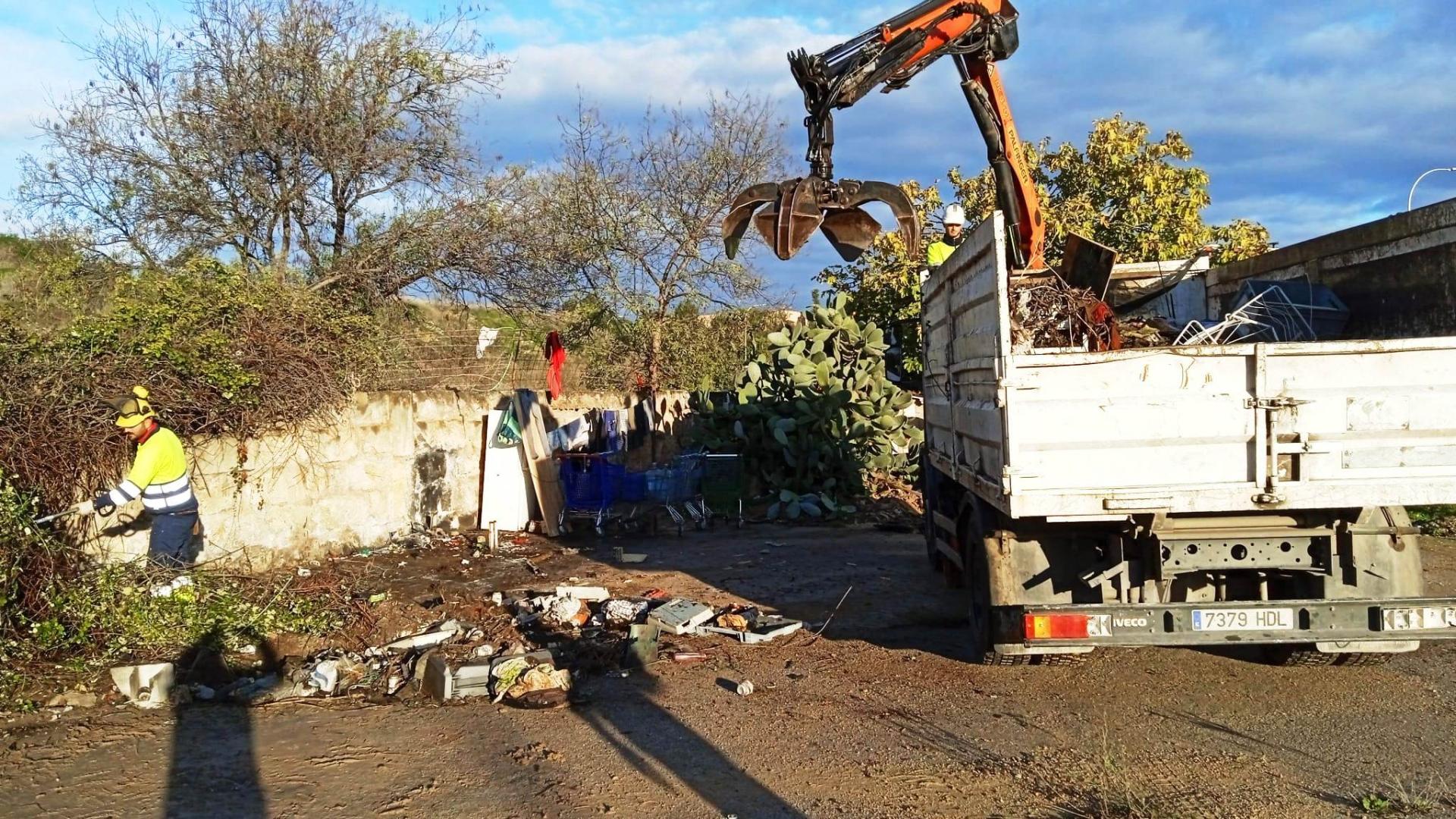 Stadtverwaltung von Palma sammelt 290 Tonnen Schmutz und Dung