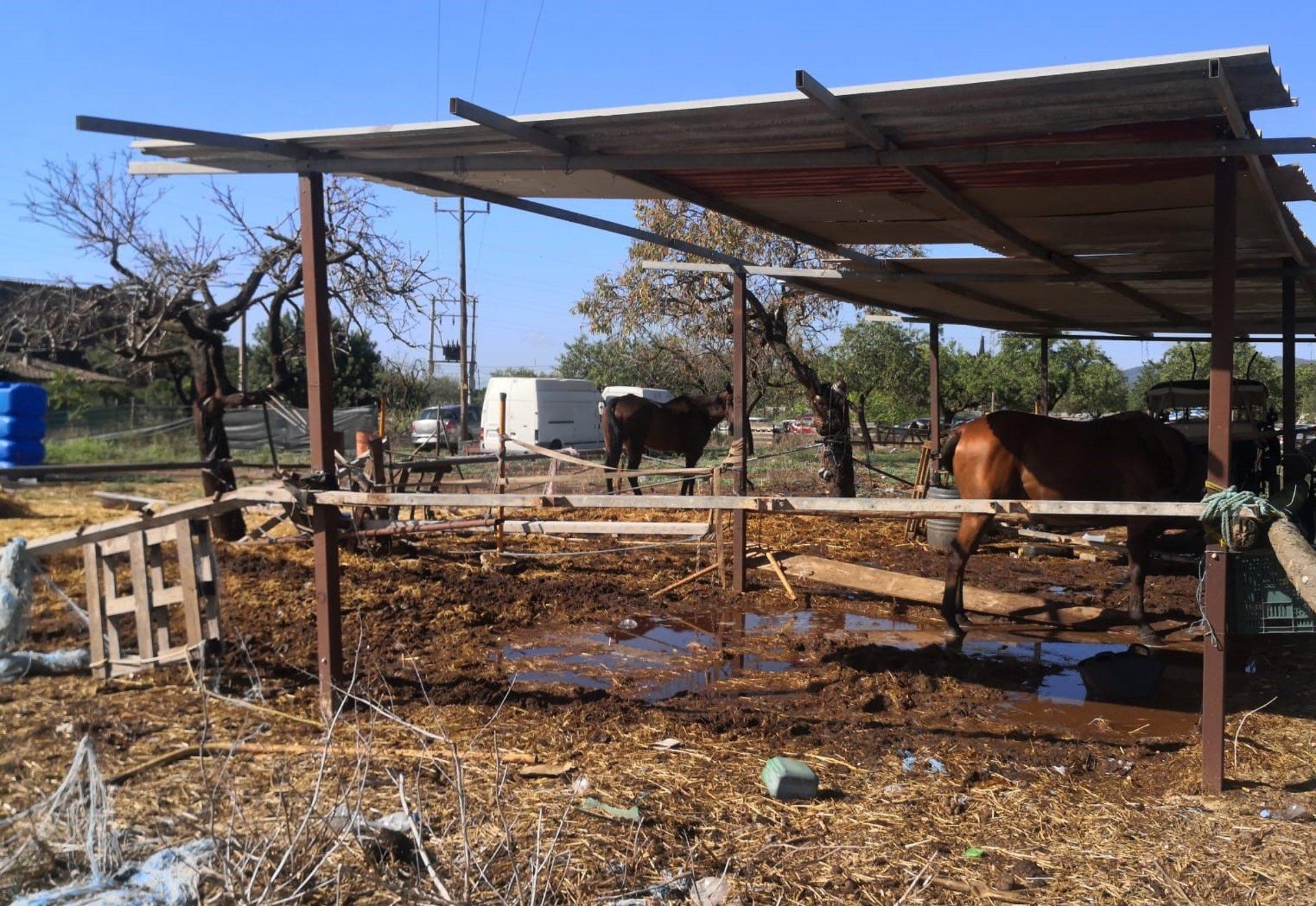 „Progreso en Verde“ bekritiseert de keuring van paardenkoetsen