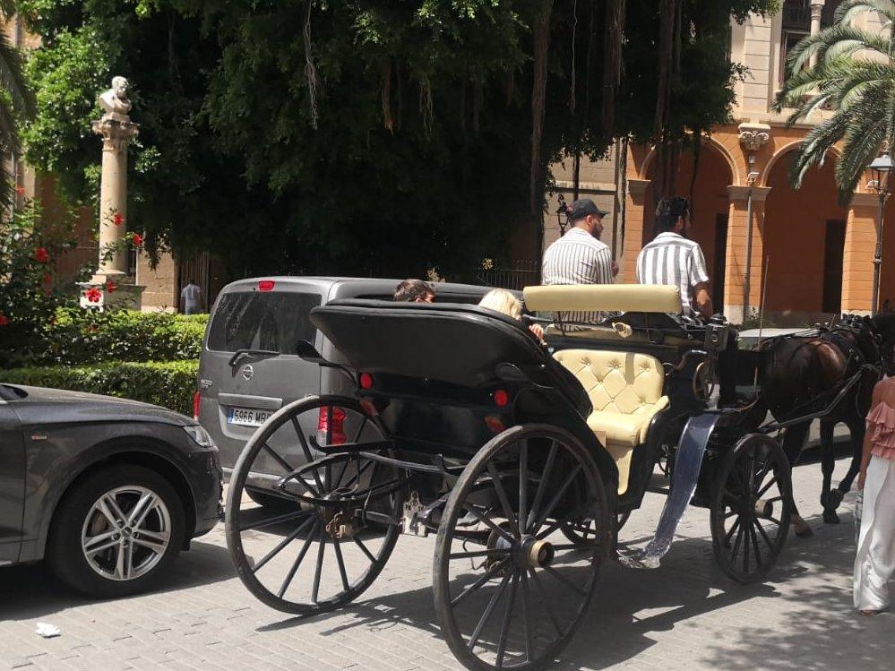 Pferdekutschen auf Mallorca