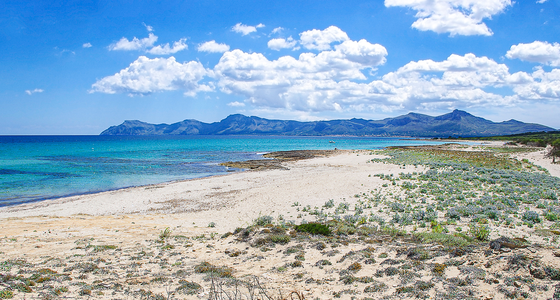 Strandführer Mallorca – Platja sa Marina