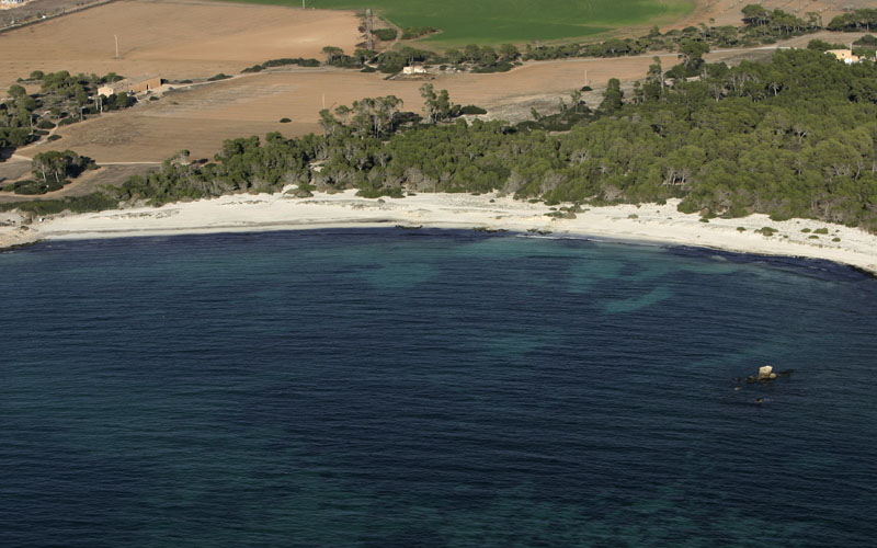 Strandführer Mallorca – Platja d’es Dolç