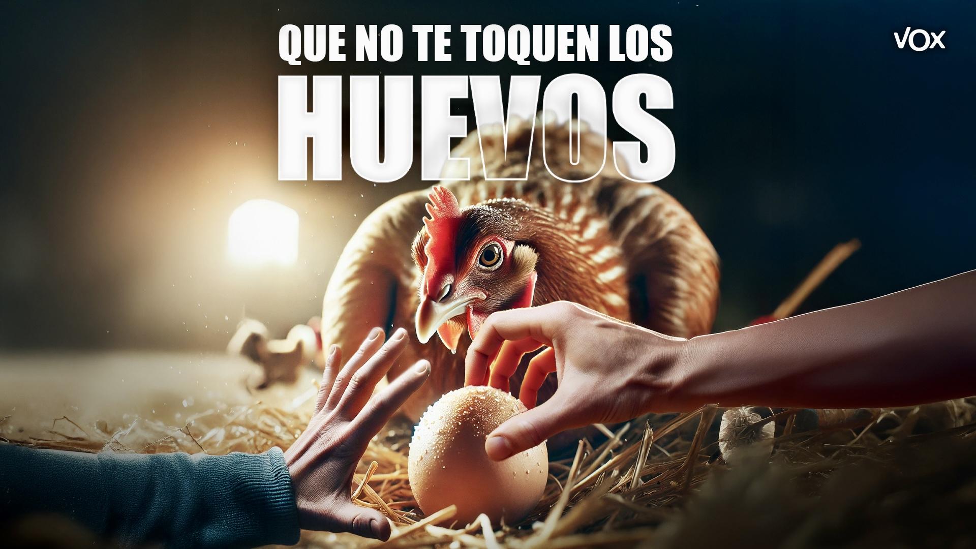 „Lass dir nicht an die Eier fassen“ „Lass dir nicht an die Eier fassen“