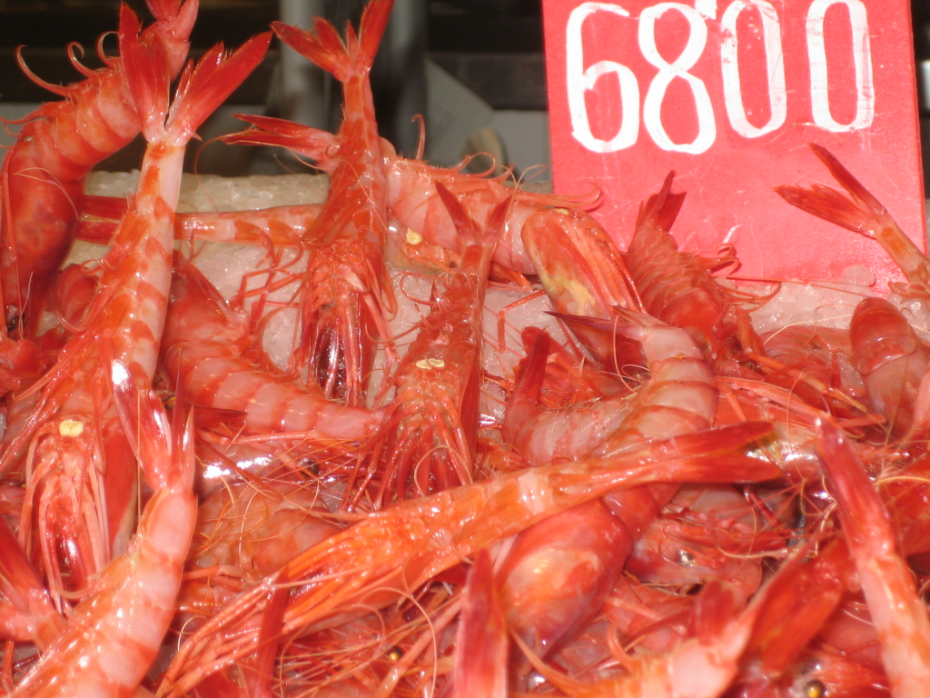Rote Gambas