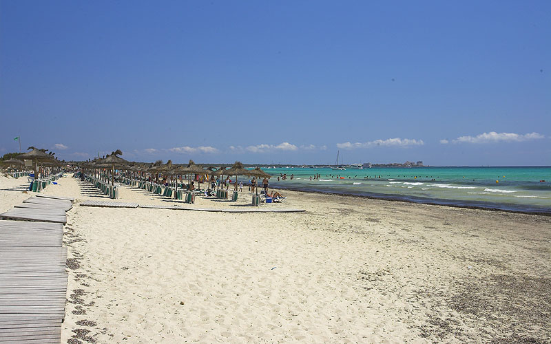 S'Arenal d'en Tem