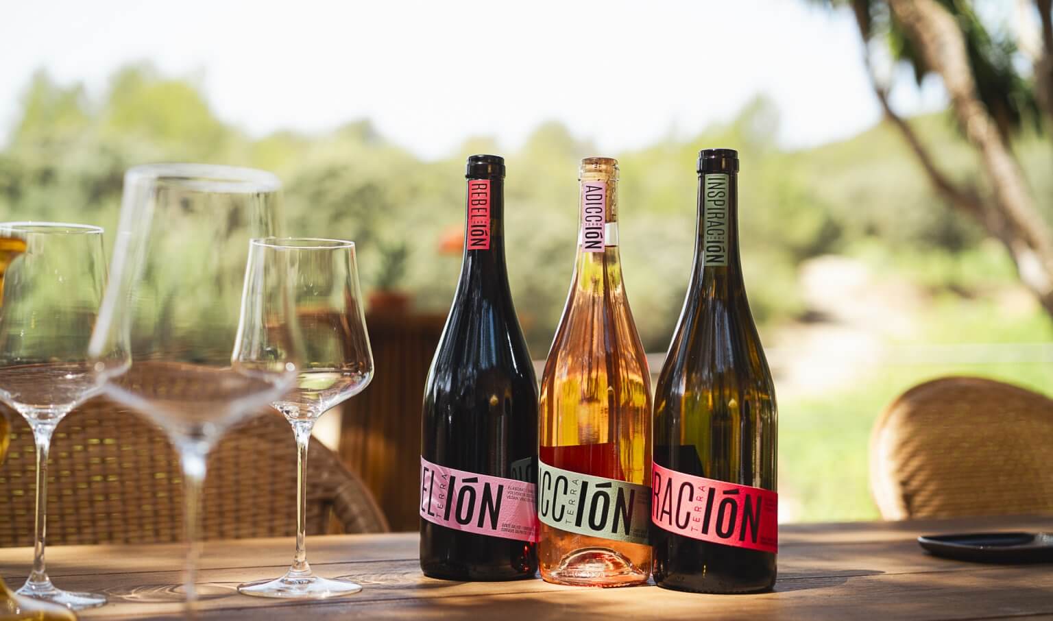 Saisoneröffnung bei Terra IóN auf Mallorca Saisoneröffnung bei Terra IóN auf Mallorca