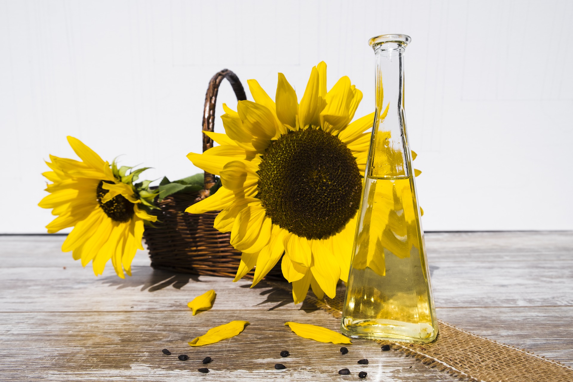 Warum der Preis für Sonnenblumenöl steigt