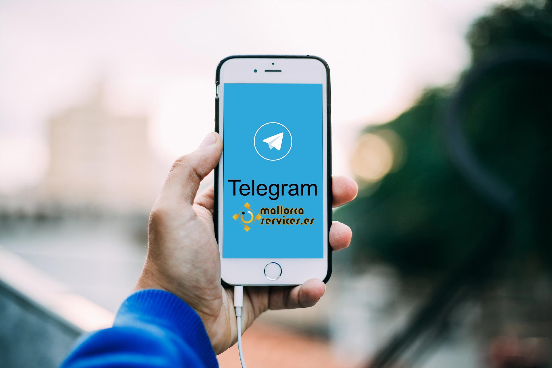 Telegram-Kanal mallorca-services.es