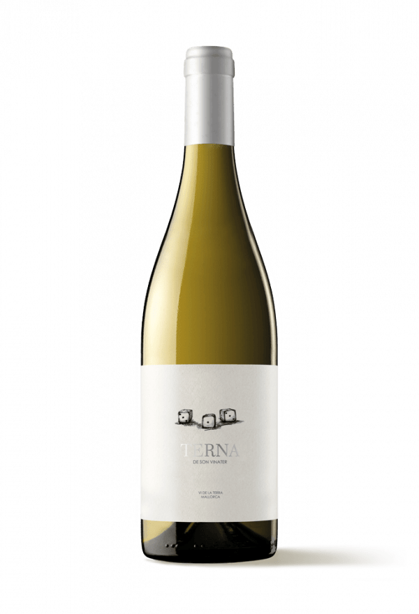 Synchronizität bestimmt unser Leben, und nichts geschieht zufällig Mesquida Mora Terna