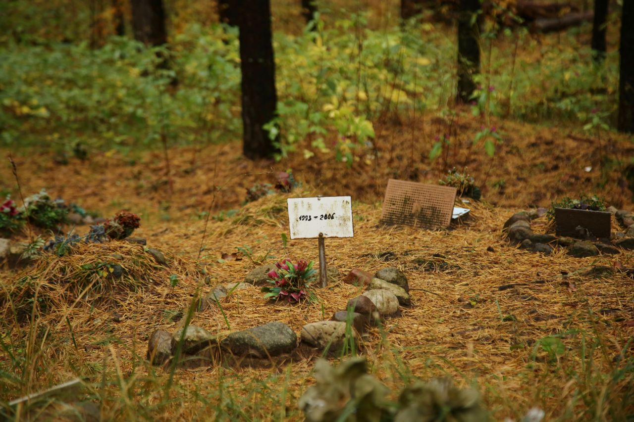 Tierfriedhof in einem Wald