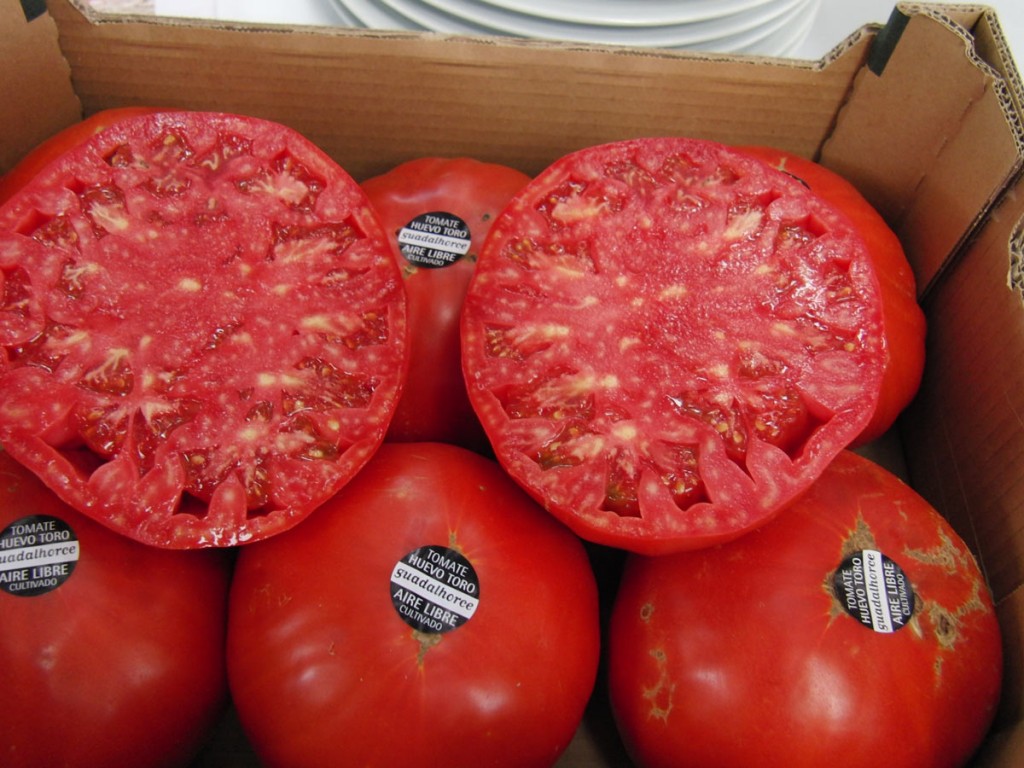 Tomate Huevo de Toro