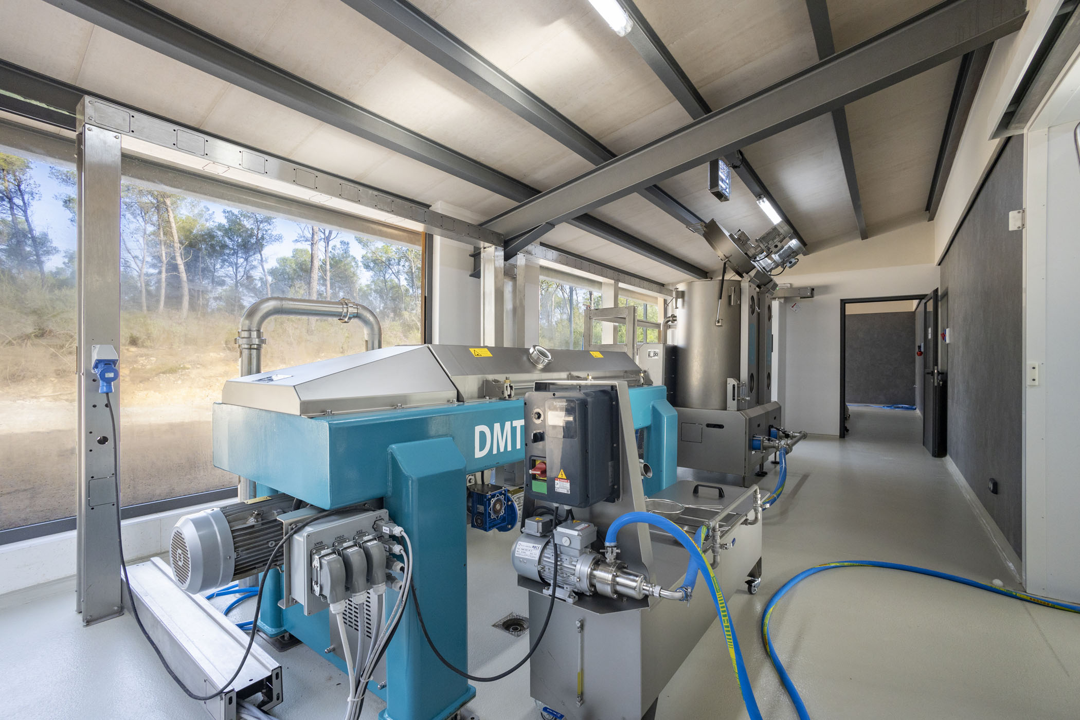 Treuer Olivenöl aus Mallorca