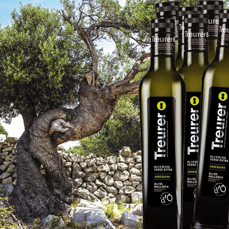 Alle kantines op Mallorca moeten “lokale olie” gebruiken