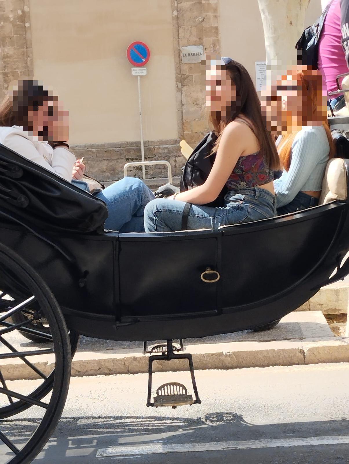 Gegen die „Ausbeutung“ von Kutschpferden auf Mallorca