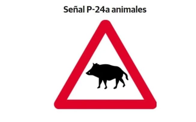 Neues Verkehrsschild warnt vor Wildschweinen