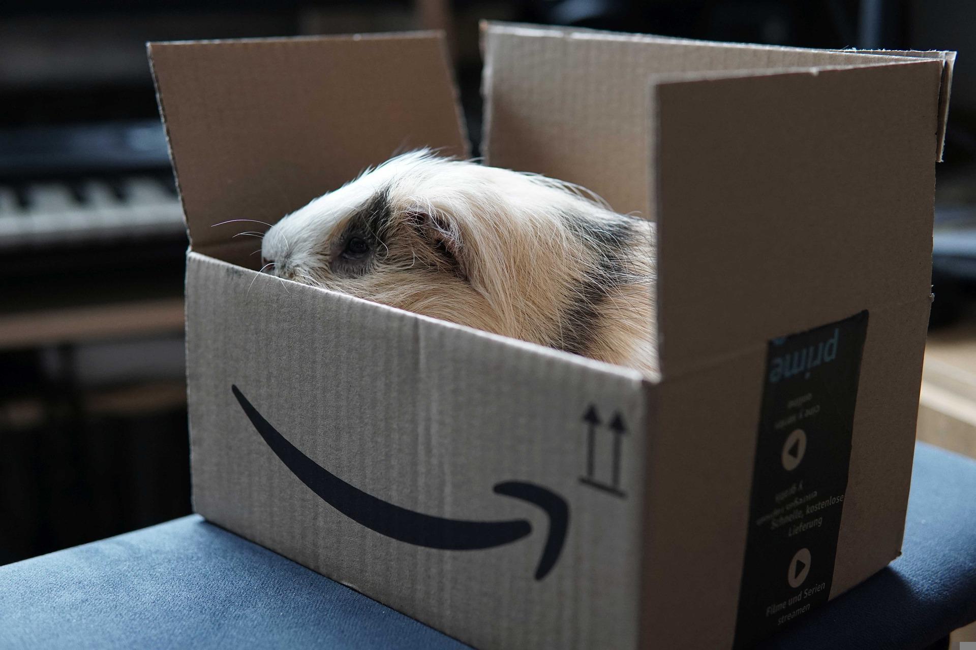 Versand mit Amazon Prime