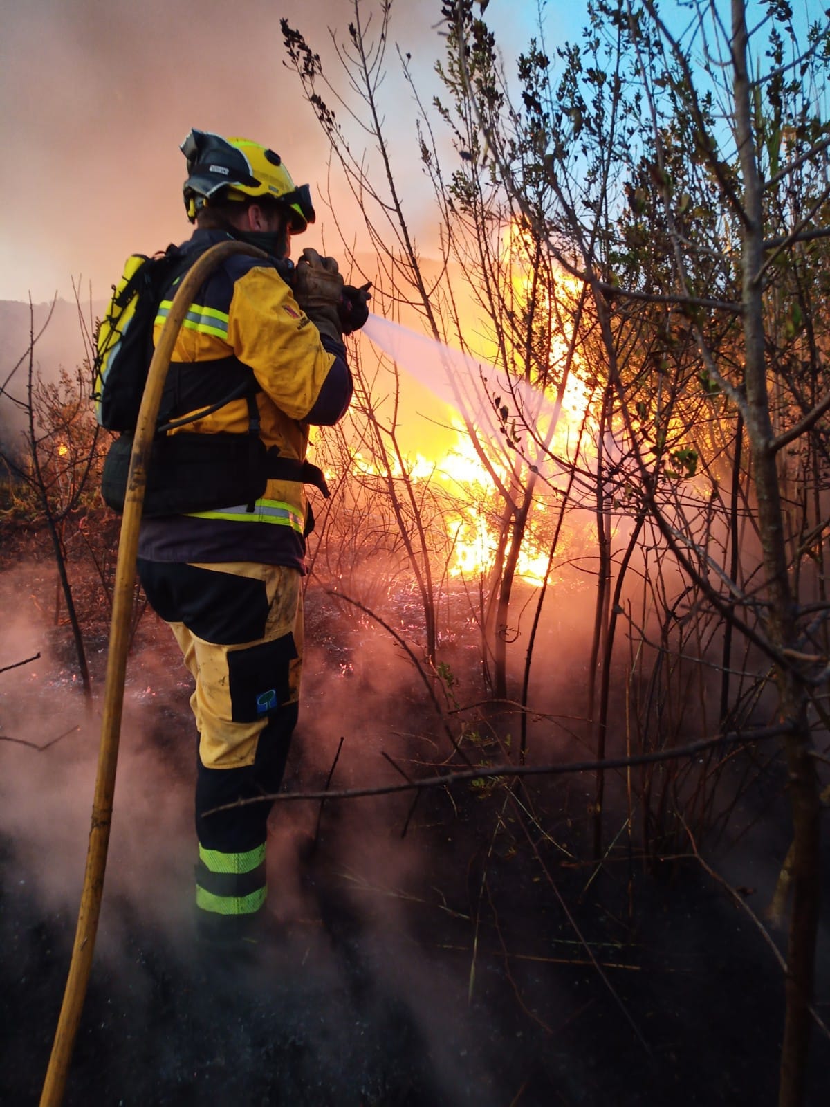 Waldbrand auf Mallorca