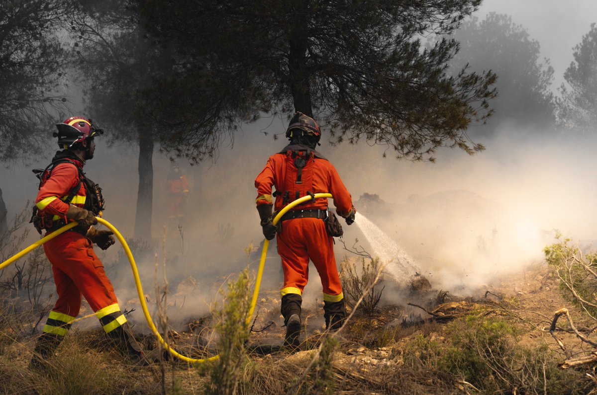 Waldbrand im Naturpark El Valle-Carrascoy