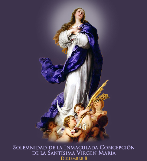 Plechtigheid van de Katholieken – 08.12.2024 | Inmaculada Concepción