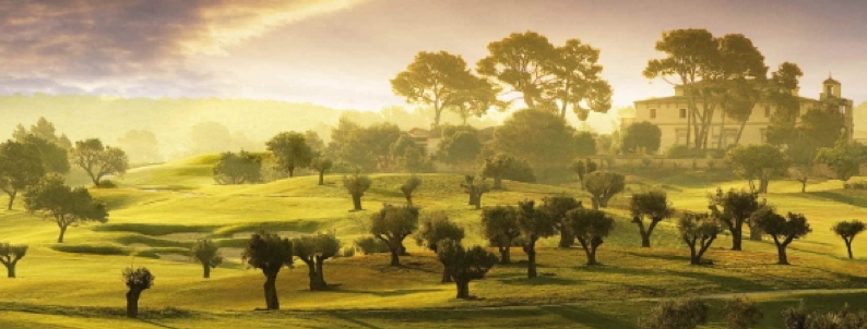 Golf Son Gual S.L.